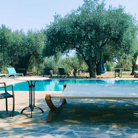 Ipsario Garden Hotel سكالا بوتامياس المظهر الخارجي الصورة