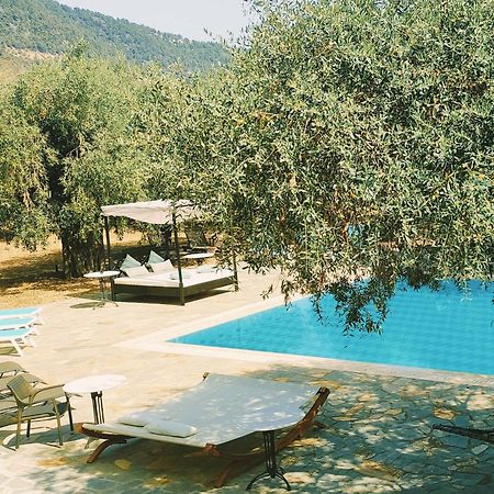 Ipsario Garden Hotel سكالا بوتامياس المظهر الخارجي الصورة