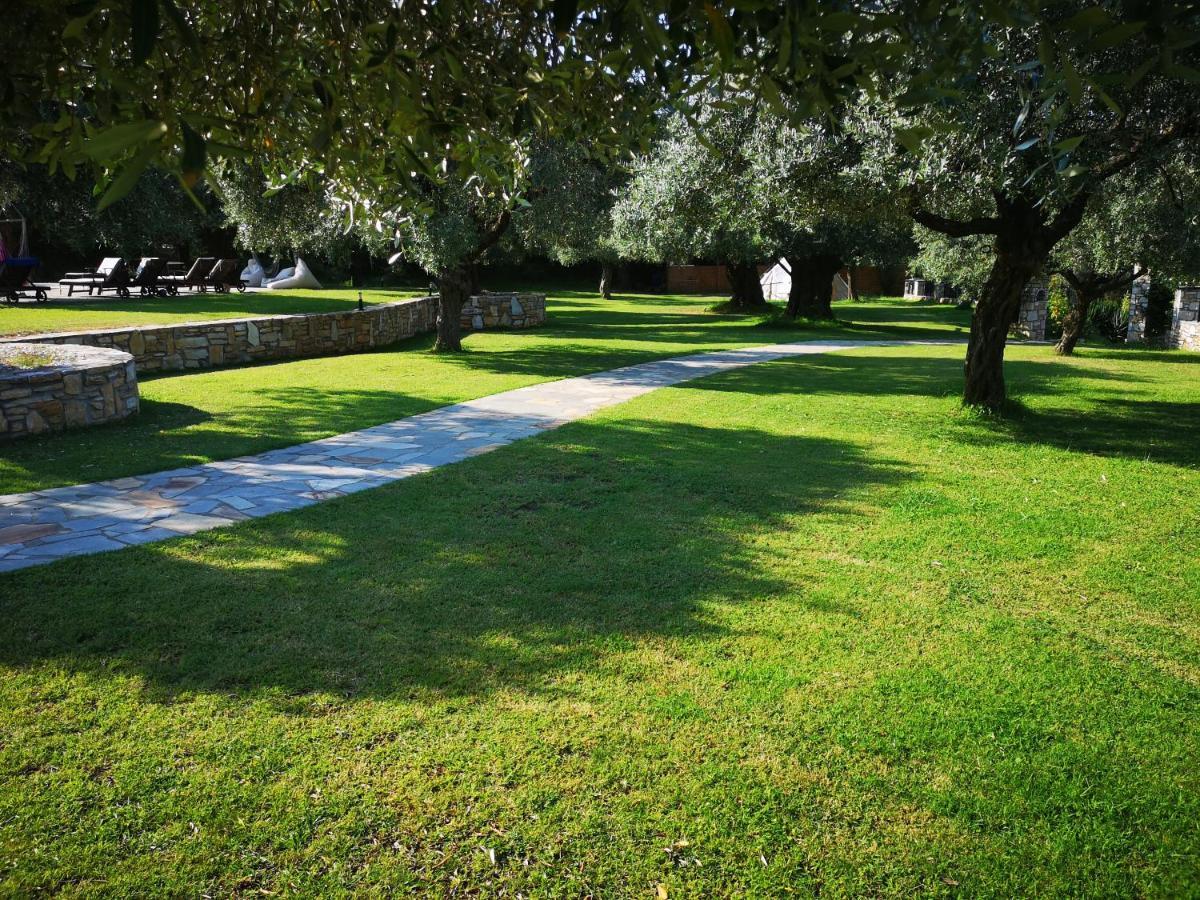 Ipsario Garden Hotel سكالا بوتامياس المظهر الخارجي الصورة